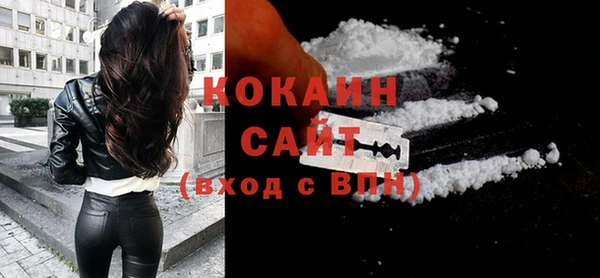 дмт Кодинск