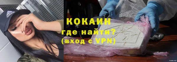 твердый Козельск