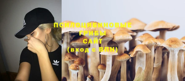 спиды Козловка