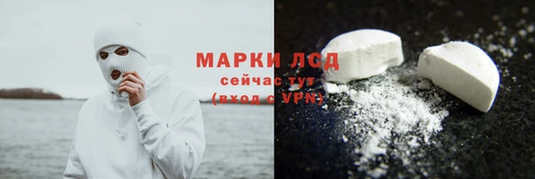 твердый Козельск