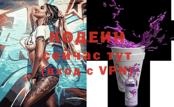 твердый Козельск