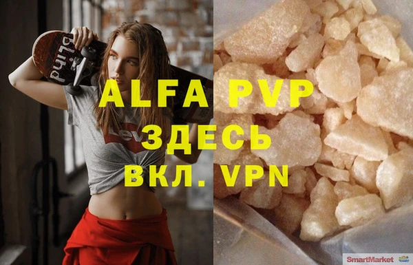 твердый Козельск