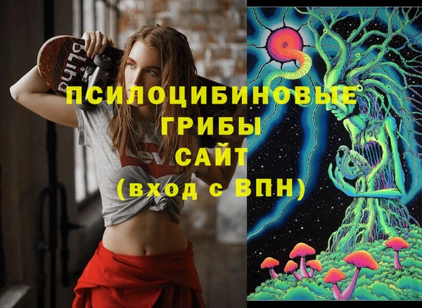 дмт Кодинск