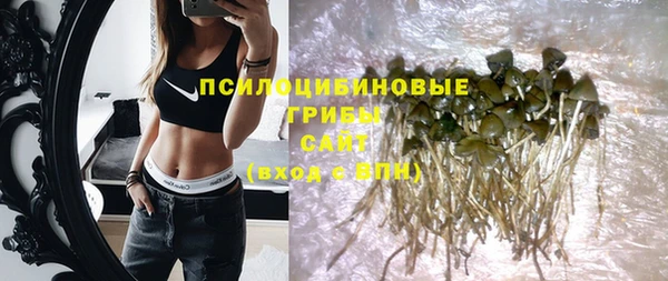 дмт Кодинск