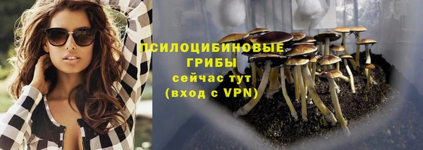 твердый Козельск