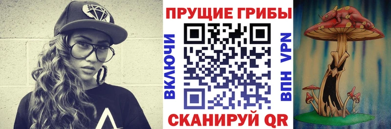 omg рабочий сайт  наркошоп  Можайск  Галлюциногенные грибы GOLDEN TEACHER 